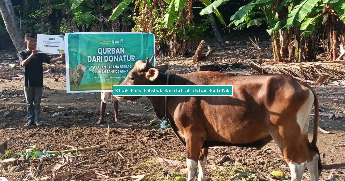 Kisah Para Sahabat Rasulullah dalam Berinfak